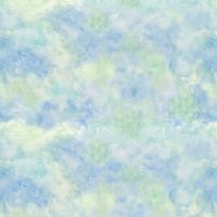 ttJT-CD4747 SKY